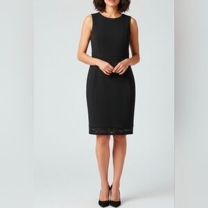 Calvin Klein Sheath Dress Size 12 NWT with Sheer Panel Detailing